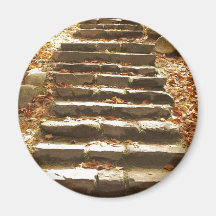 Country Stairway Magnets