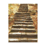 Country Stairway Post Cards