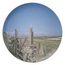 Country Views - 5 Barred Gate Party Plates