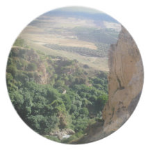 Country Views - Distant Olives Party Plate