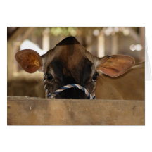 County Fair card