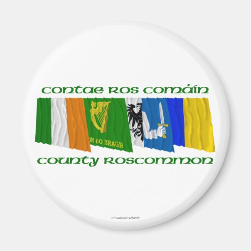County Roscommon Flags Fridge Magnet