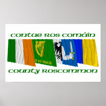 County Roscommon Flags Poster