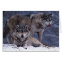 Couple cards