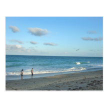 Couple walking on florida beach w seagull postcard