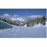 Courchevel, France, home of the Tree Valley ski ar photo sculptures