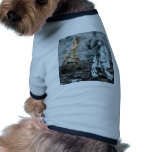 COURTLY JESTERS pet clothing