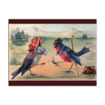 Courtship of Birds Post Cards