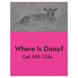 COW3 flyers