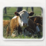 Cow 9P27D-29 mousepads