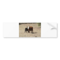 Cow and Baby bumper sticker