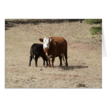 Cow and Baby card