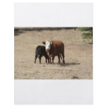 Cow and Baby flyer