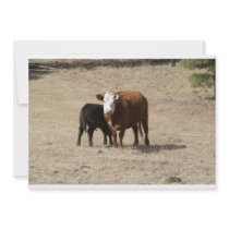 Cow and Baby invitation
