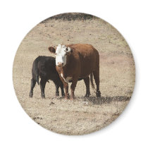 Cow and Baby magnet