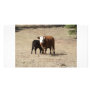Cow and Baby photo card