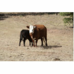 Cow and Baby photo sculpture photo sculptures