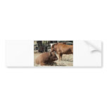 Cow and Bull bumper sticker