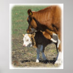 Cow and Calf 9P022D-160 posters