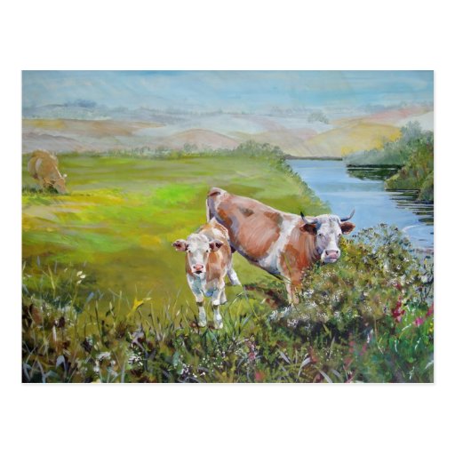 Cow and Calf Painting on a river bank in England Post Cards