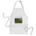 Cow aprons