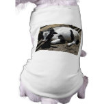 cow,baby pet clothing