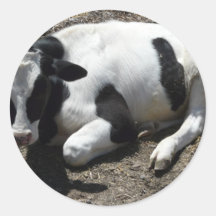 cow,baby stickers