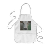 Cow Big Head Aprons
