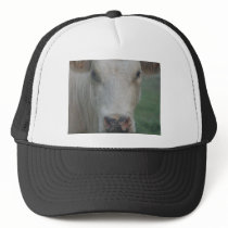 Cow Big Head Trucker Hats