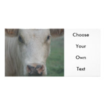Cow Big Head Custom Photo Card