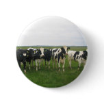 Cow buttons