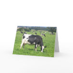 Cow cards