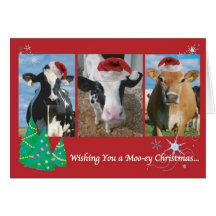 Cow Christmas Greeting Cards