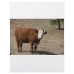 Cow flyer