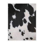 Cow fur postcards