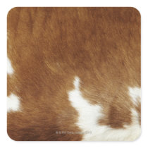 Cow hide sticker