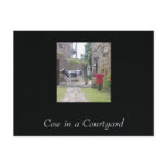 Cow in a Courtyard postcards