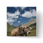 Cow in Pasture buttons