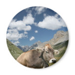 Cow in Pasture Refrigerator Magnet