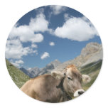 Cow in Pasture stickers