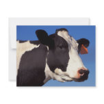 Cow invitations
