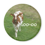Cow Magnets