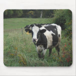 Cow mousepads