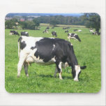 Cow mousepads