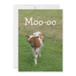 Cow Party Invitations