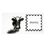 COW photo cards