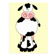 Cow Postcards