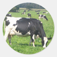Cow Round Stickers