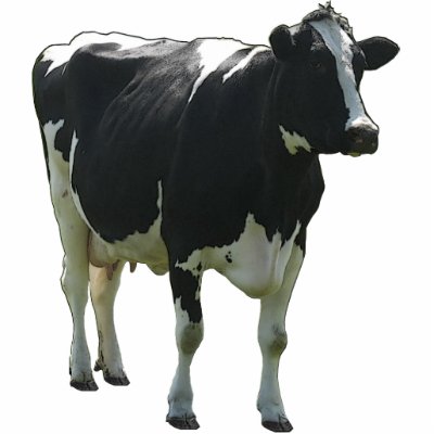 Cow Sculpture Photo Cut Outs by hollandshop
