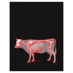 Cow skeleton flyers
